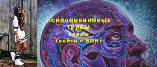 ECSTASY Мегион
