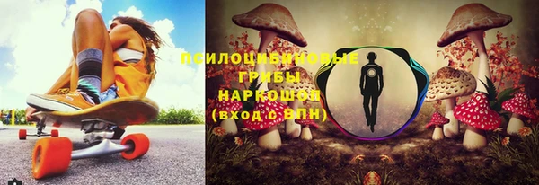 ГАЛЛЮЦИНОГЕННЫЕ ГРИБЫ Медвежьегорск