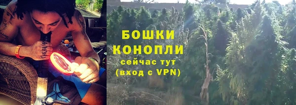 ГАЛЛЮЦИНОГЕННЫЕ ГРИБЫ Медвежьегорск