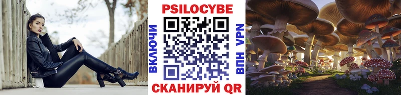 магазин продажи   Мостовской  Галлюциногенные грибы ЛСД 